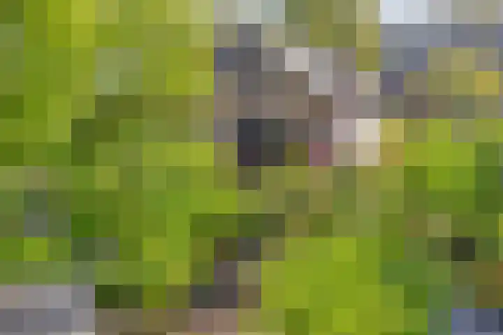 De Kaapstander 16 Dronten thumbnail 44