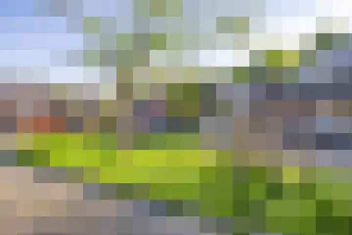 De Kaapstander 16 Dronten thumbnail 48
