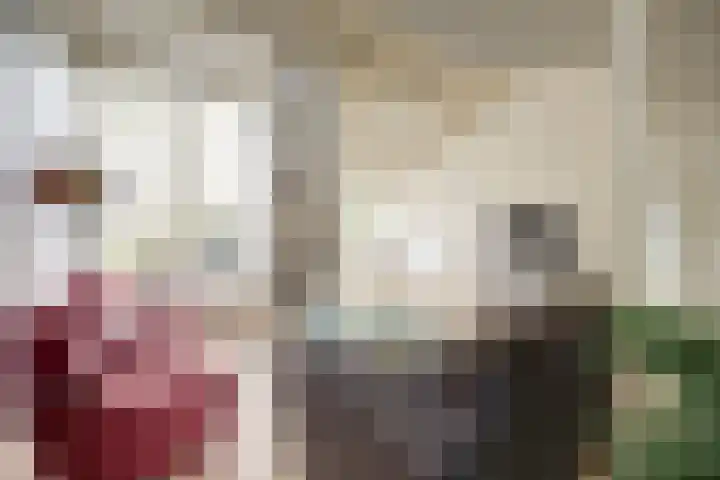 De Kaapstander 26 Dronten thumbnail 13