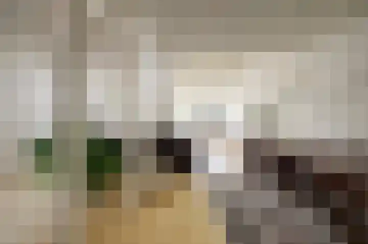 De Kaapstander 26 Dronten thumbnail 34