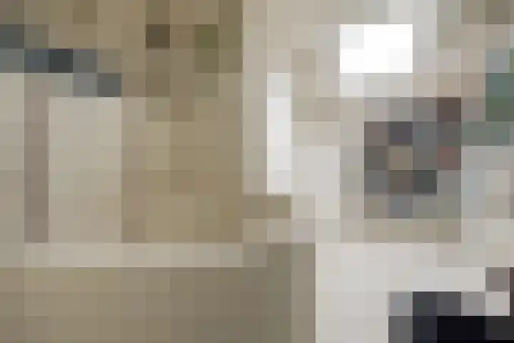 De Kaapstander 26 Dronten thumbnail 36