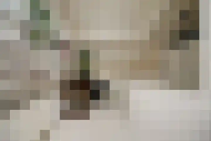 De Kaapstander 26 Dronten thumbnail 37