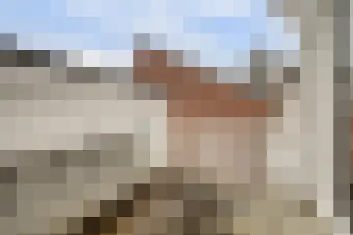 De Kaapstander 26 Dronten thumbnail 39