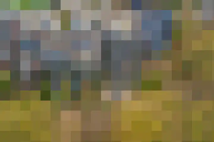 De Kaapstander 26 Dronten thumbnail 48