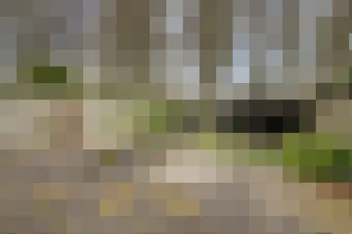 De Kaapstander 26 Dronten thumbnail 51