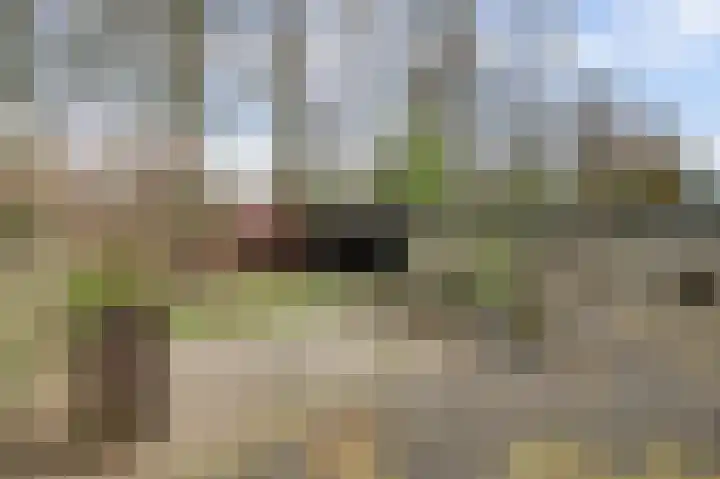 De Kaapstander 26 Dronten thumbnail 52