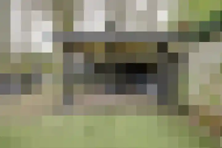De Kaapstander 26 Dronten thumbnail 53
