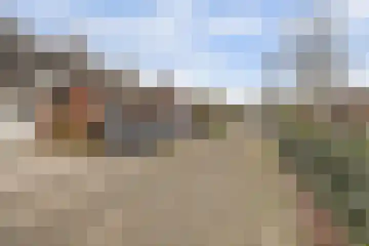 De Kaapstander 26 Dronten thumbnail 54