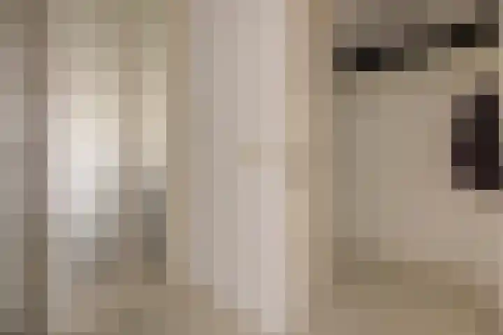 De Kaapstander 26 Dronten thumbnail 9