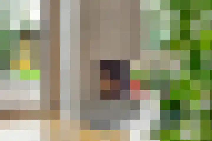 De Kaapstander 60 Dronten thumbnail 20