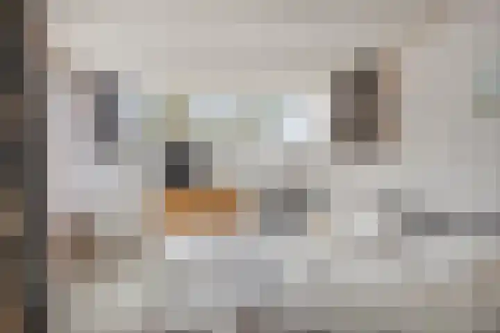 De Kaapstander 60 Dronten thumbnail 34