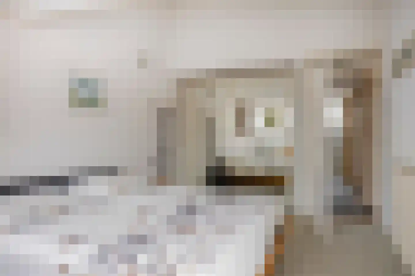 De Kaapstander 60 Dronten thumbnail 35