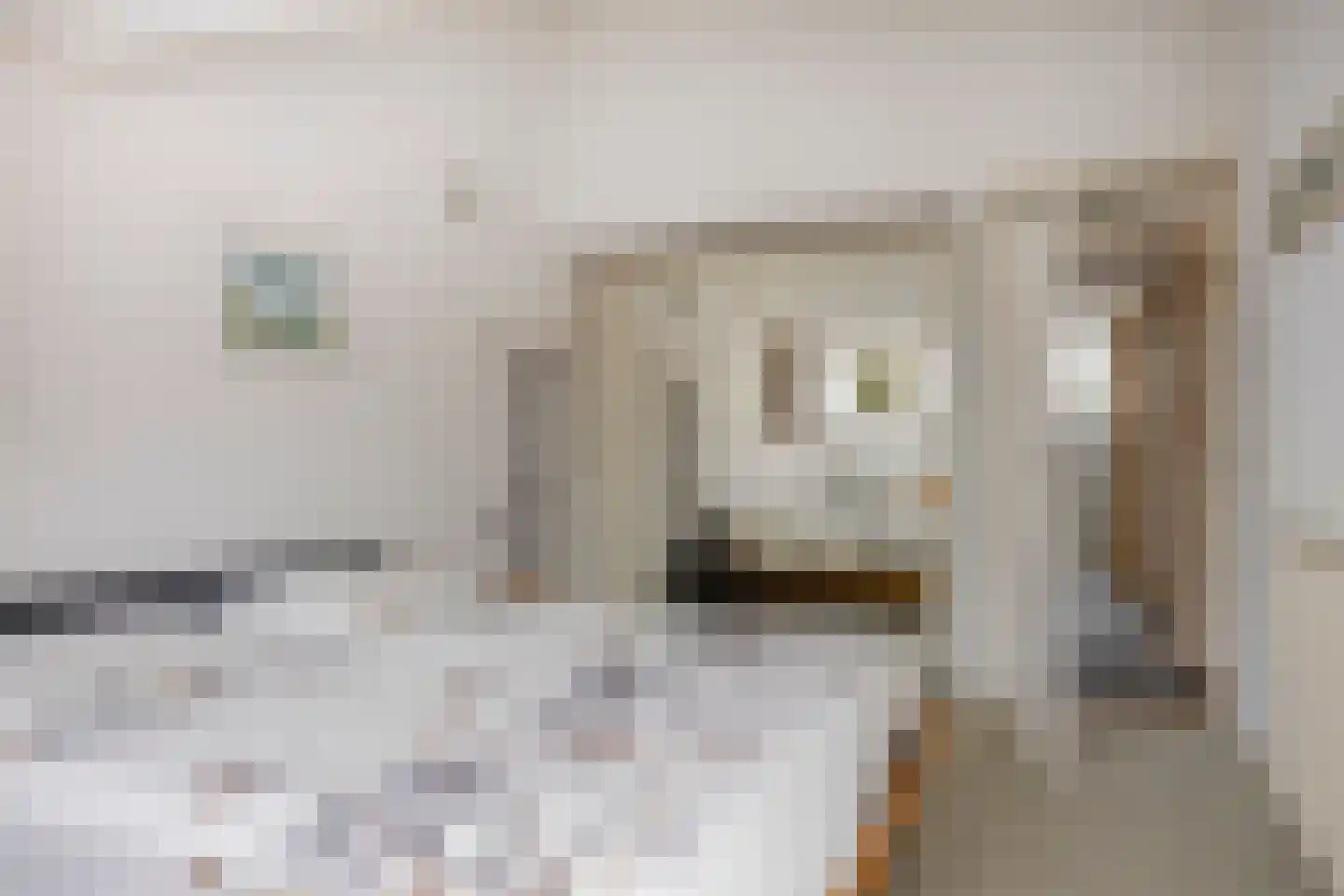 De Kaapstander 60 Dronten thumbnail 4