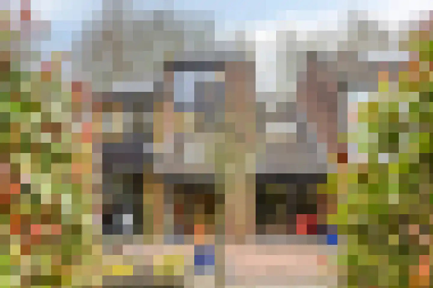 De Kaapstander 60 Dronten thumbnail 5