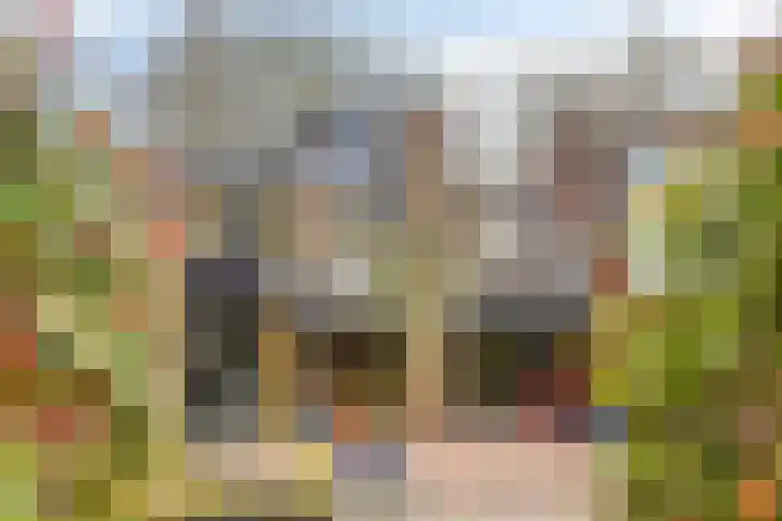 De Kaapstander 60 Dronten thumbnail 5