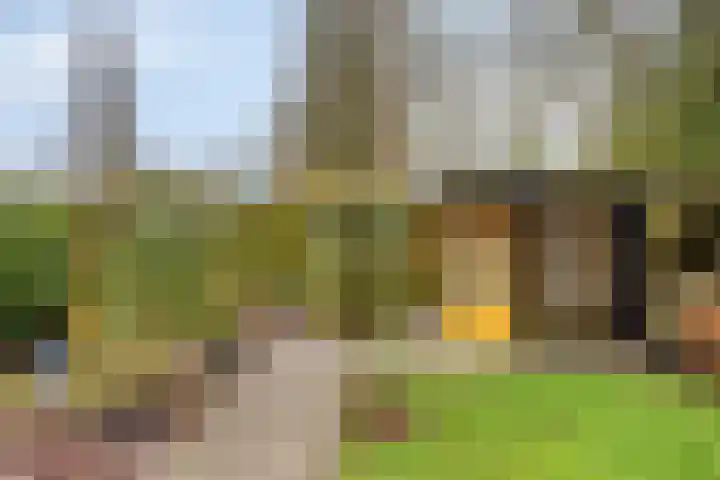 De Kaapstander 60 Dronten thumbnail 51