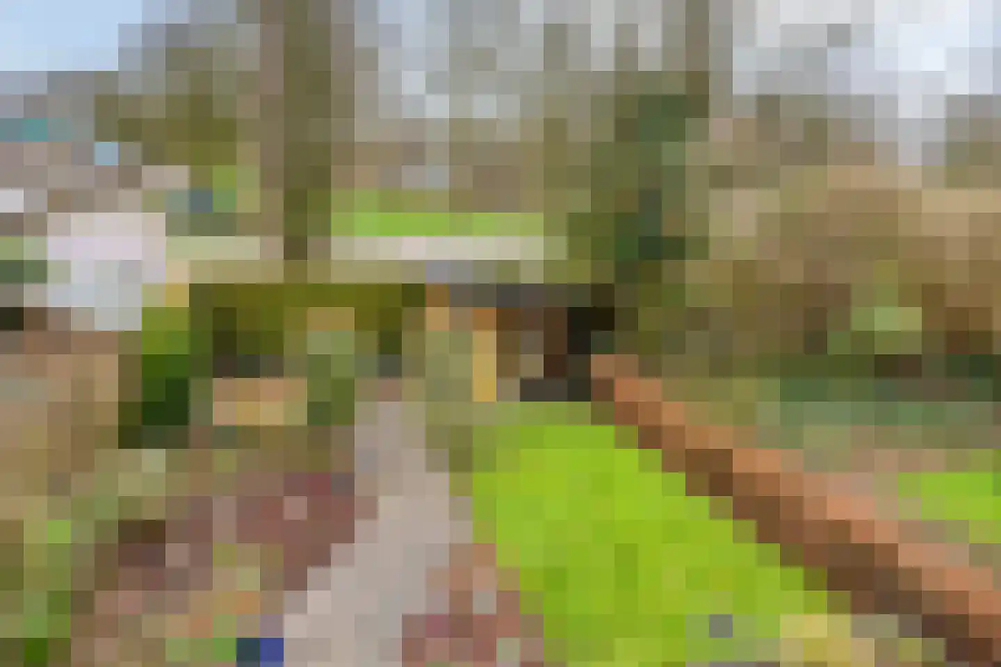 De Kaapstander 60 Dronten thumbnail 52