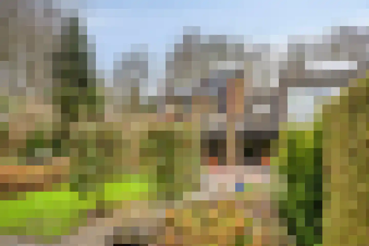 De Kaapstander 60 Dronten thumbnail 53