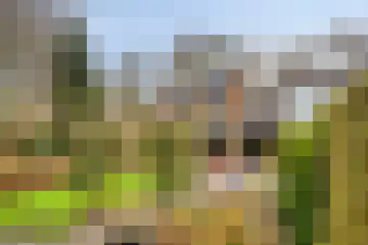 De Kaapstander 60 Dronten thumbnail 53