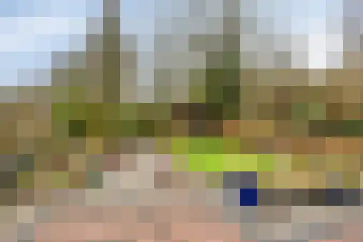 De Kaapstander 60 Dronten thumbnail 54