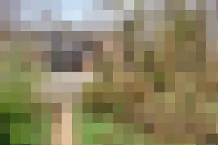 De Kaapstander 60 Dronten thumbnail 58