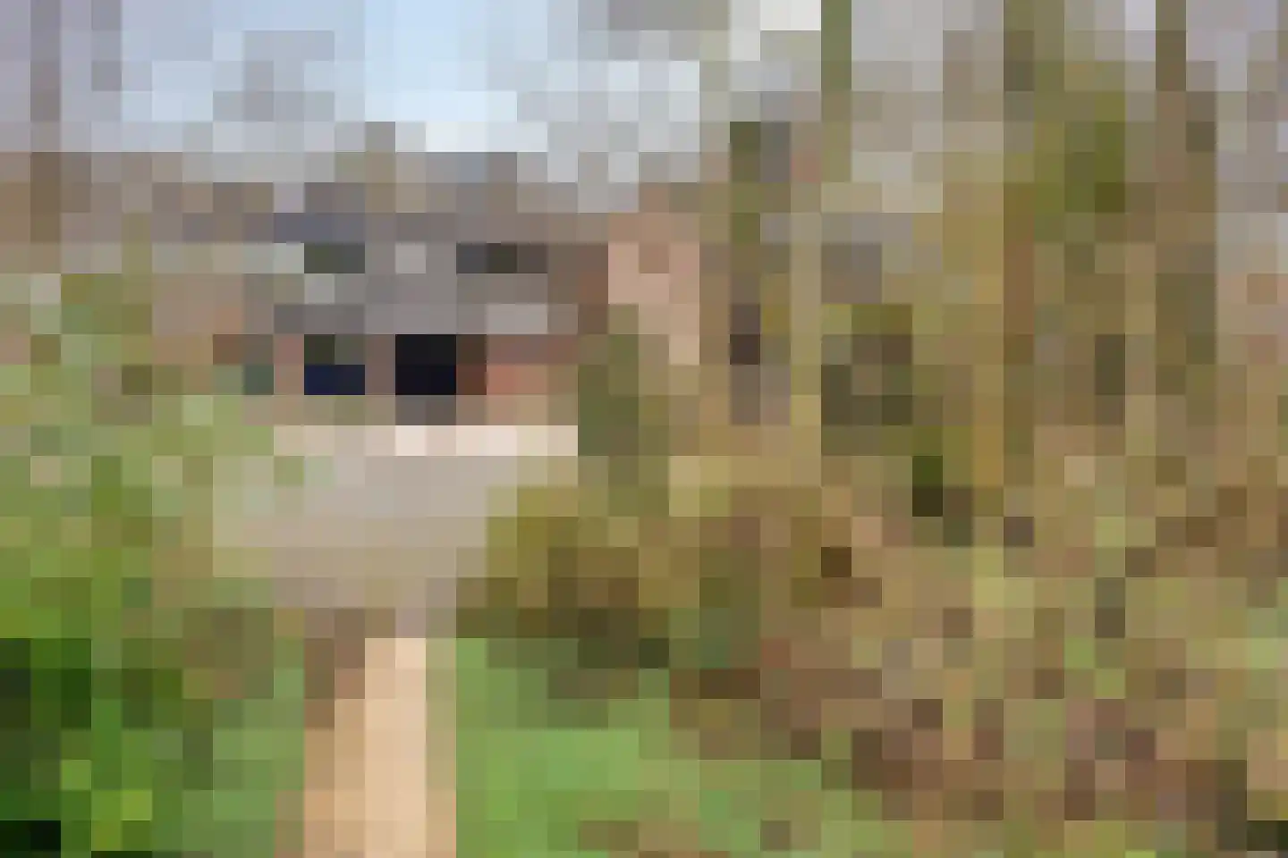 De Kaapstander 60 Dronten thumbnail 58