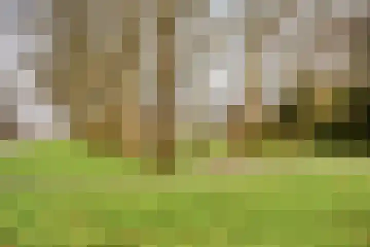 De Kaapstander 60 Dronten thumbnail 59