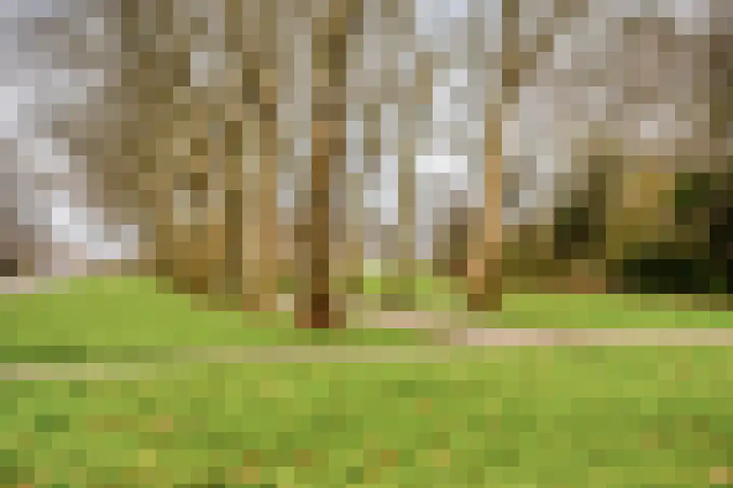 De Kaapstander 60 Dronten thumbnail 59