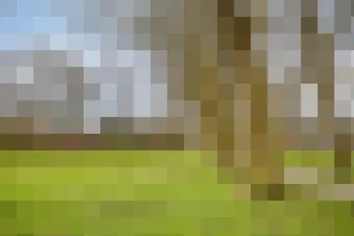 De Kaapstander 60 Dronten thumbnail 60