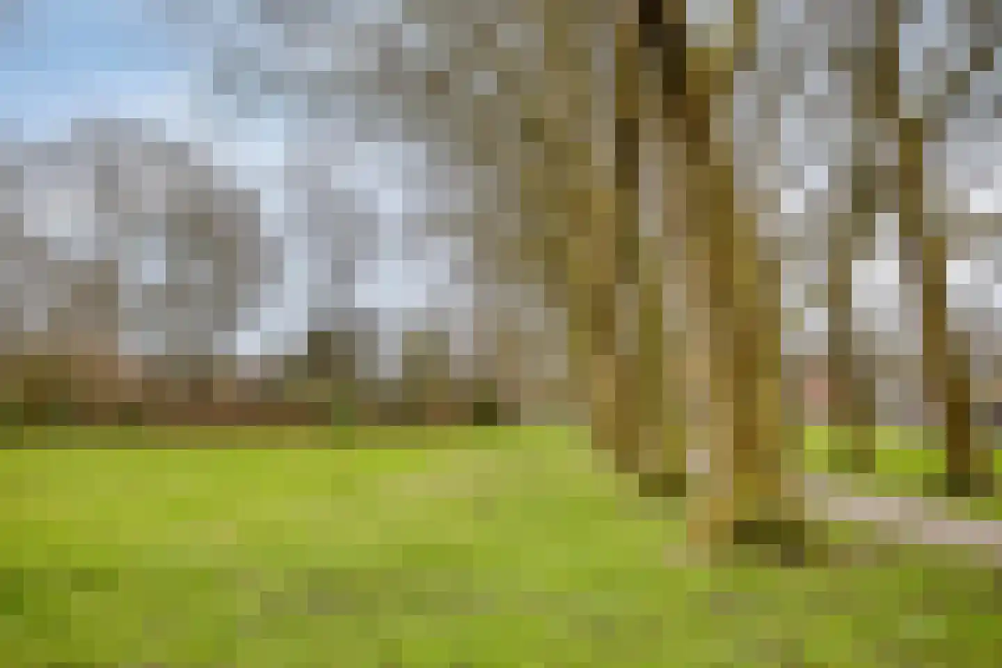 De Kaapstander 60 Dronten thumbnail 60