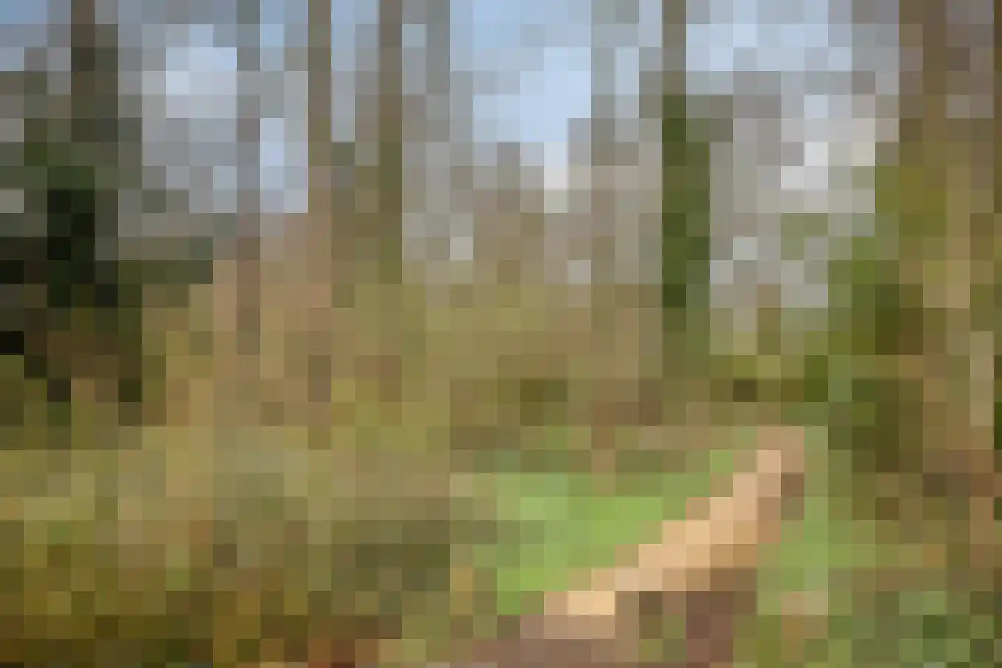 De Kaapstander 60 Dronten thumbnail 61