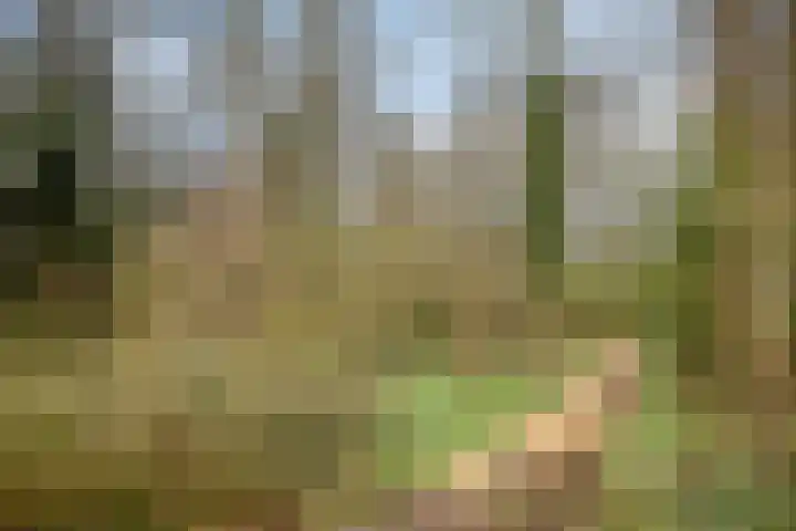 De Kaapstander 60 Dronten thumbnail 61