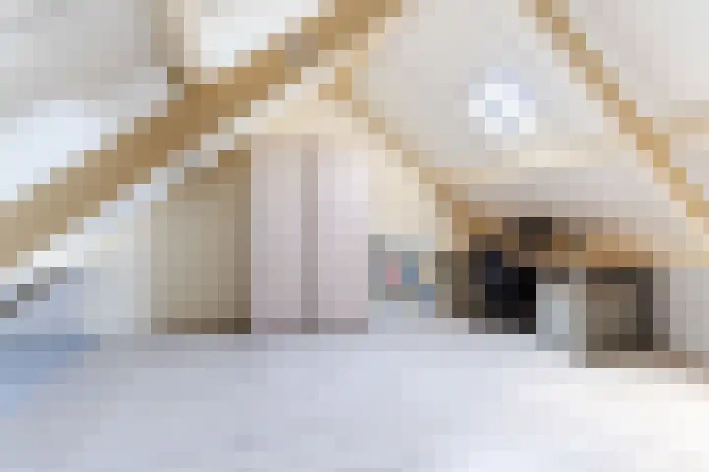 De Kabouterberg 2 Bergeijk thumbnail 32