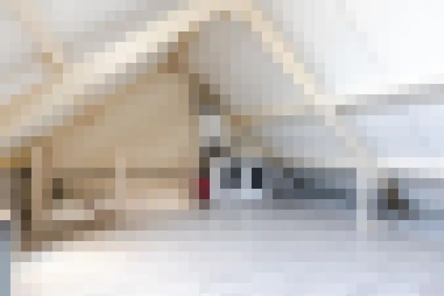 De Kabouterberg 2 Bergeijk thumbnail 33