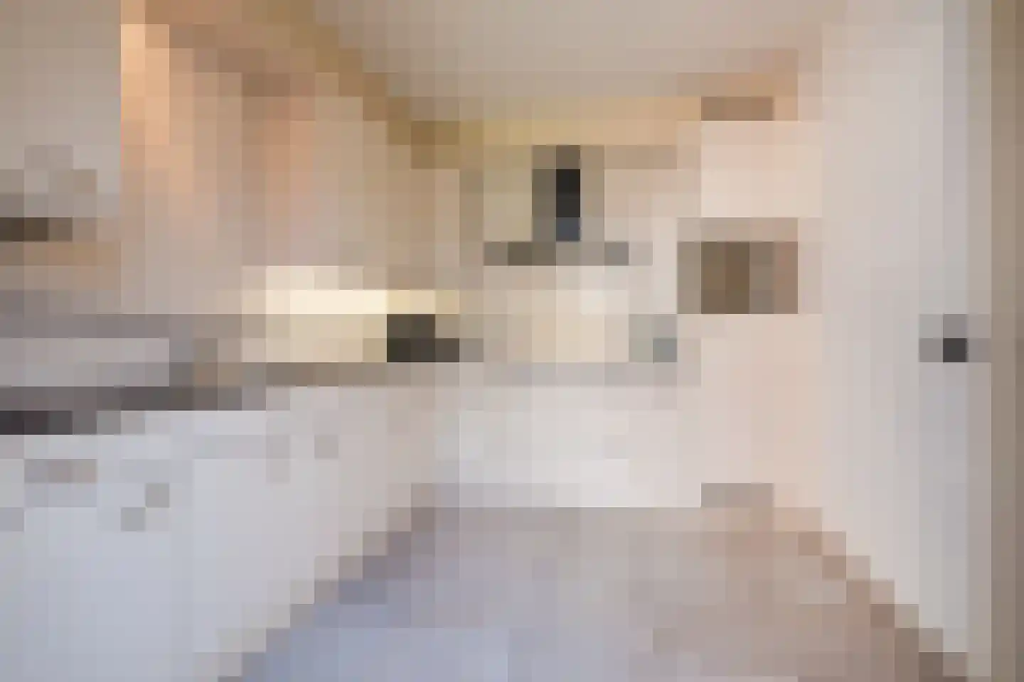 De Kabouterberg 28 Bergeijk thumbnail 10