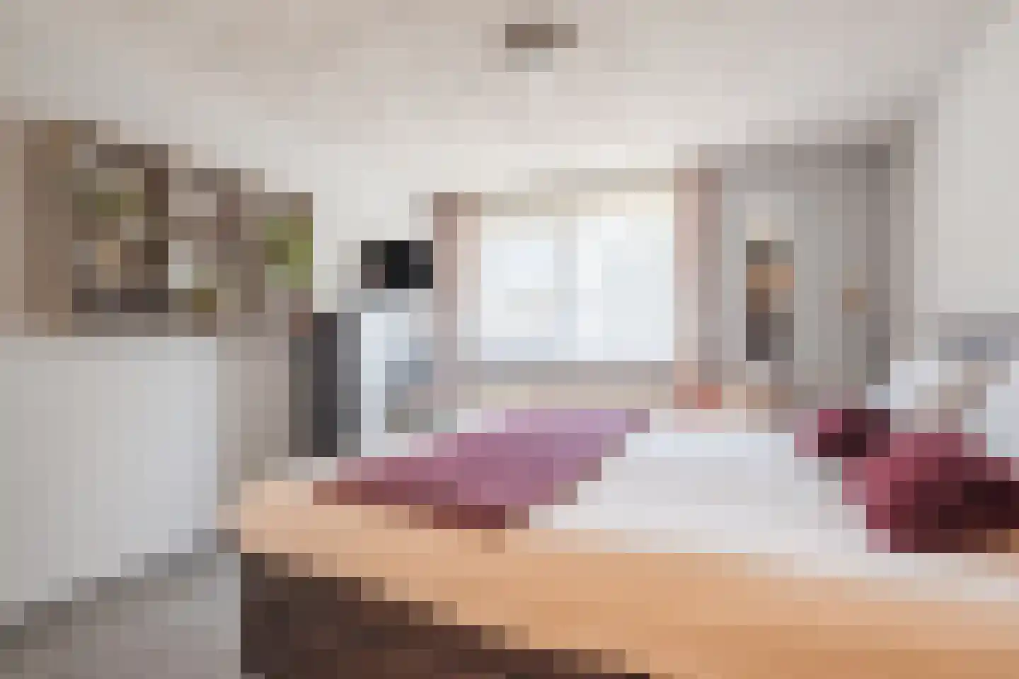 De Kabouterberg 28 Bergeijk thumbnail 15