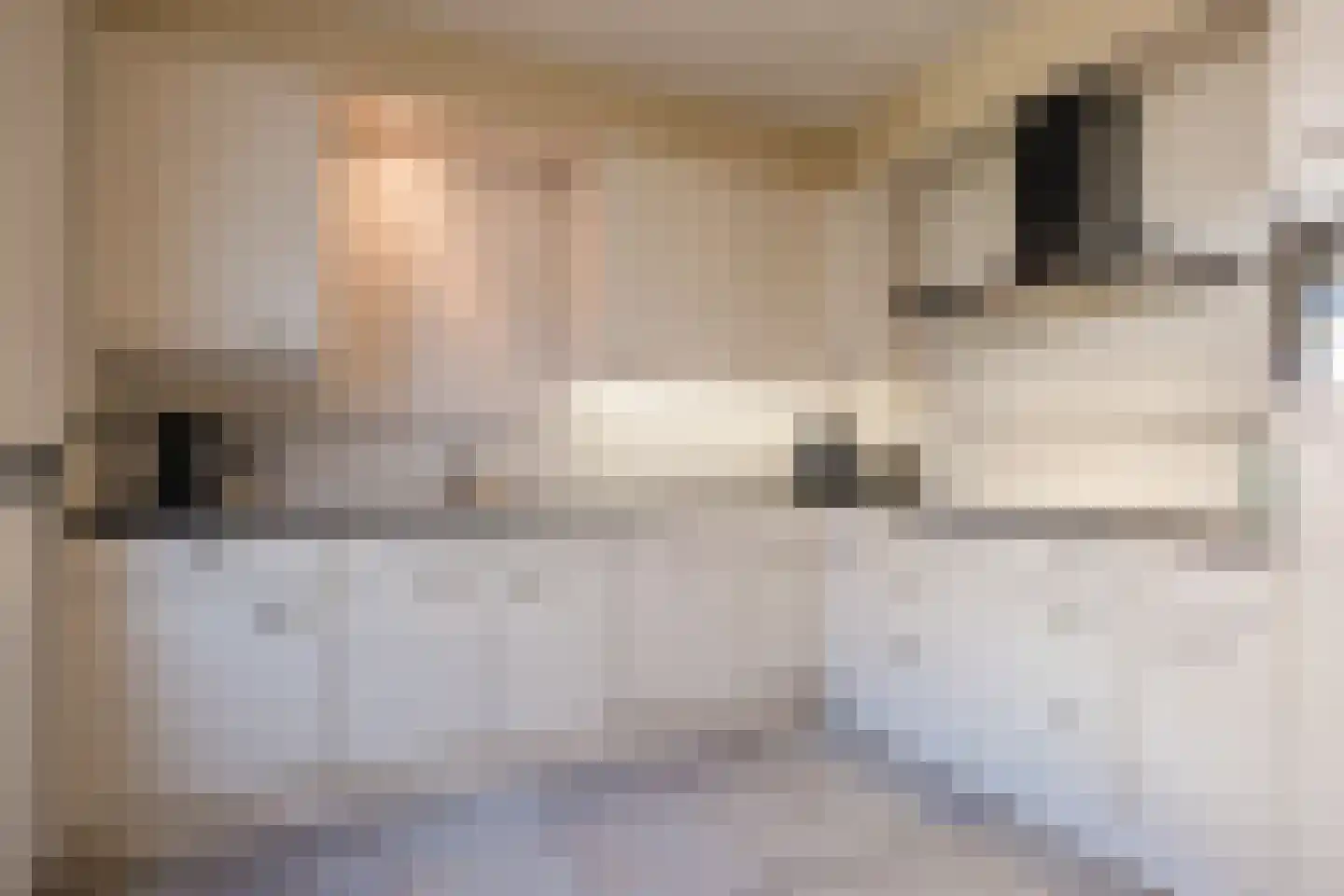 De Kabouterberg 28 Bergeijk thumbnail 9