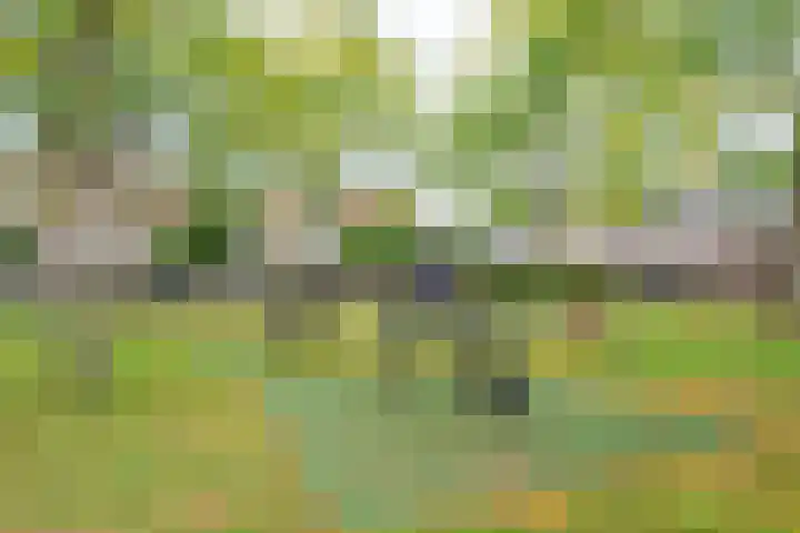 De Kabouterberg 41 Bergeijk thumbnail 33