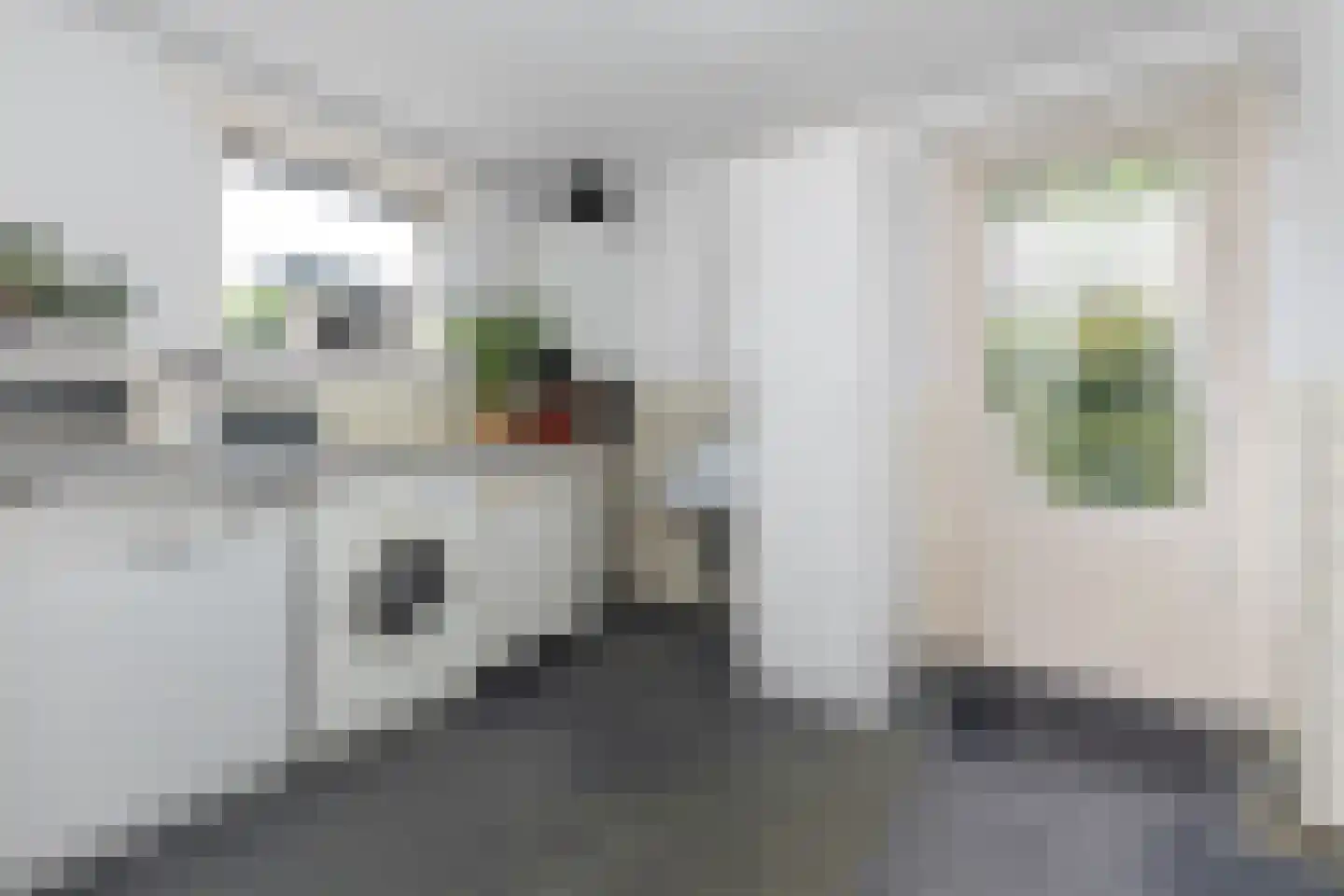de Kade 11 Wapenveld thumbnail 16
