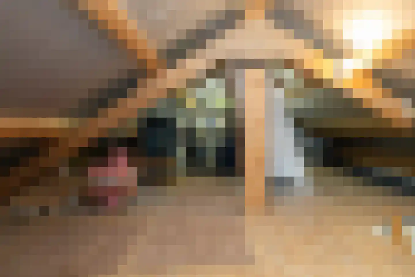 de Kade 11 Wapenveld thumbnail 27