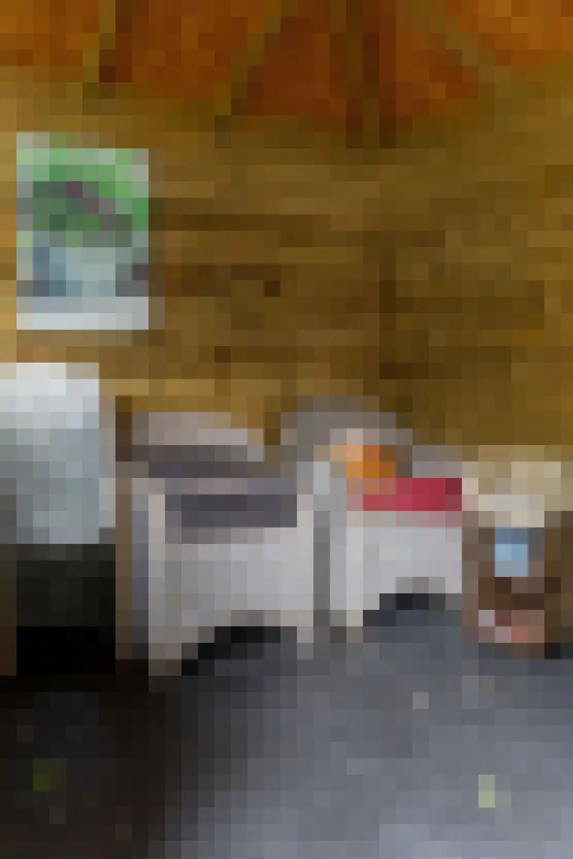 de Kade 11 Wapenveld thumbnail 33