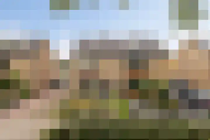 de Kade 15 Wapenveld thumbnail 30