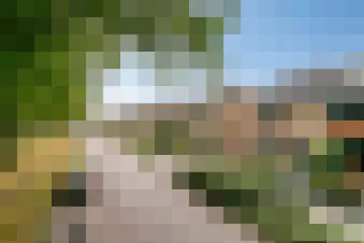 de Kade 15 Wapenveld thumbnail 32