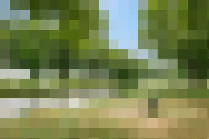 de Kade 15 Wapenveld thumbnail 33