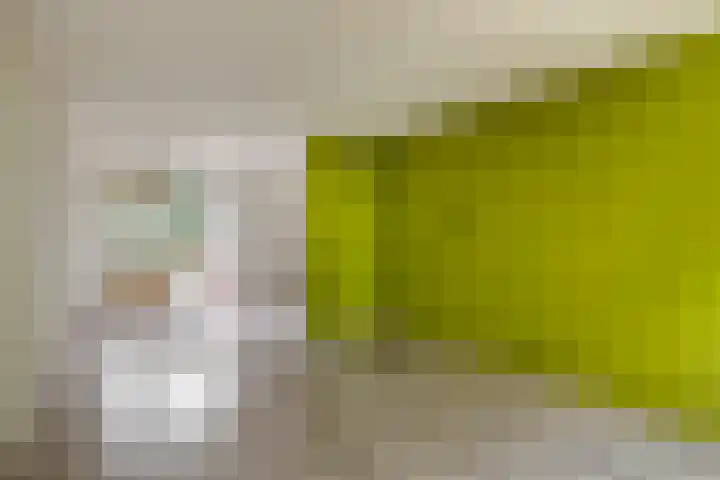 de Kade 15 Wapenveld thumbnail 4