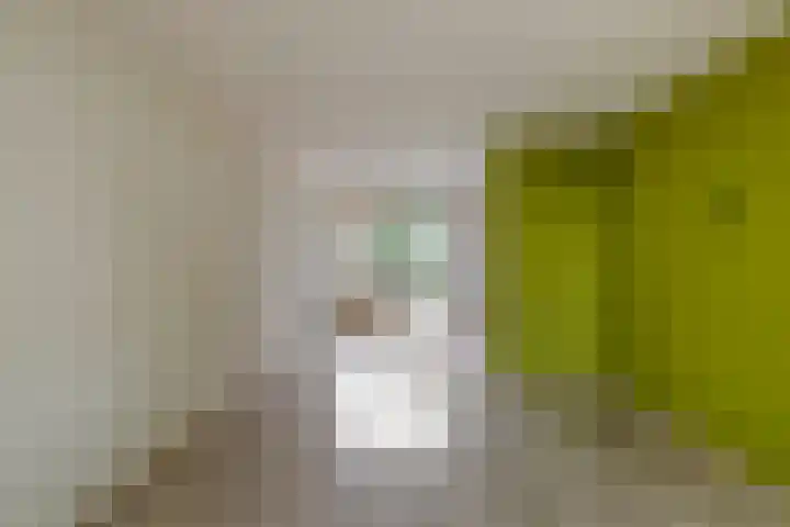 de Kade 15 Wapenveld thumbnail 5
