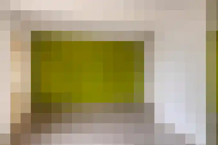 de Kade 15 Wapenveld thumbnail 7
