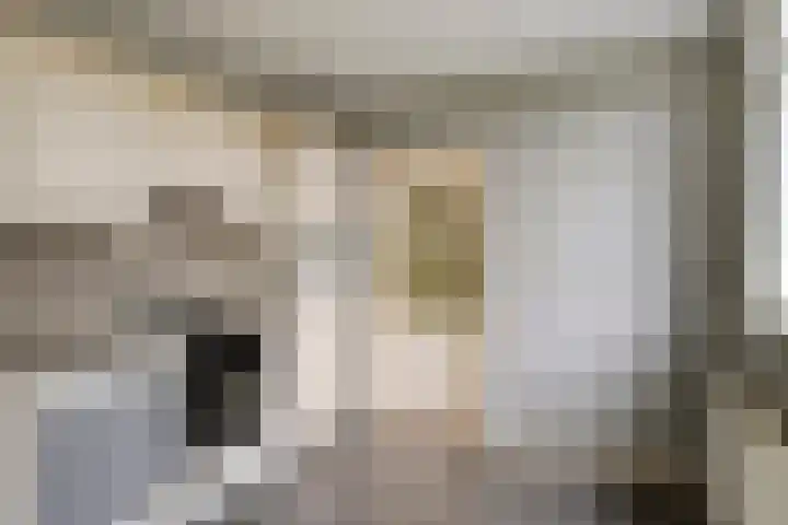 de Kade 15 Wapenveld thumbnail 9