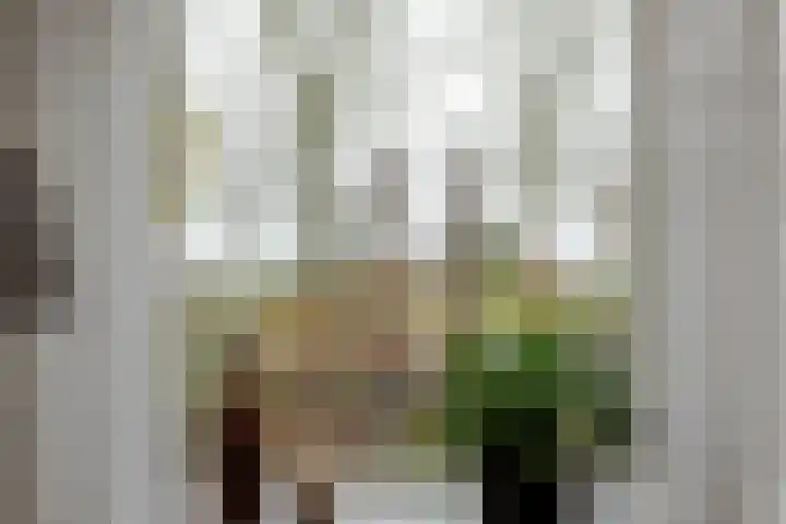 de Kade 16 Wapenveld thumbnail 15