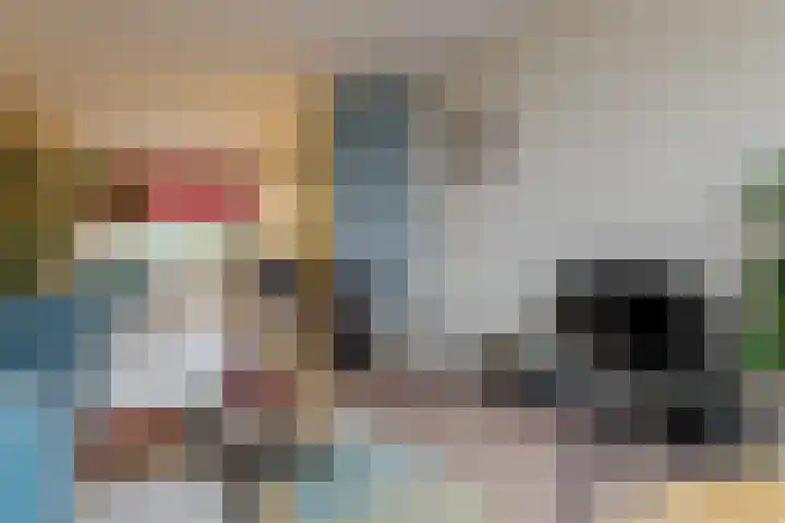 de Kade 16 Wapenveld thumbnail 17